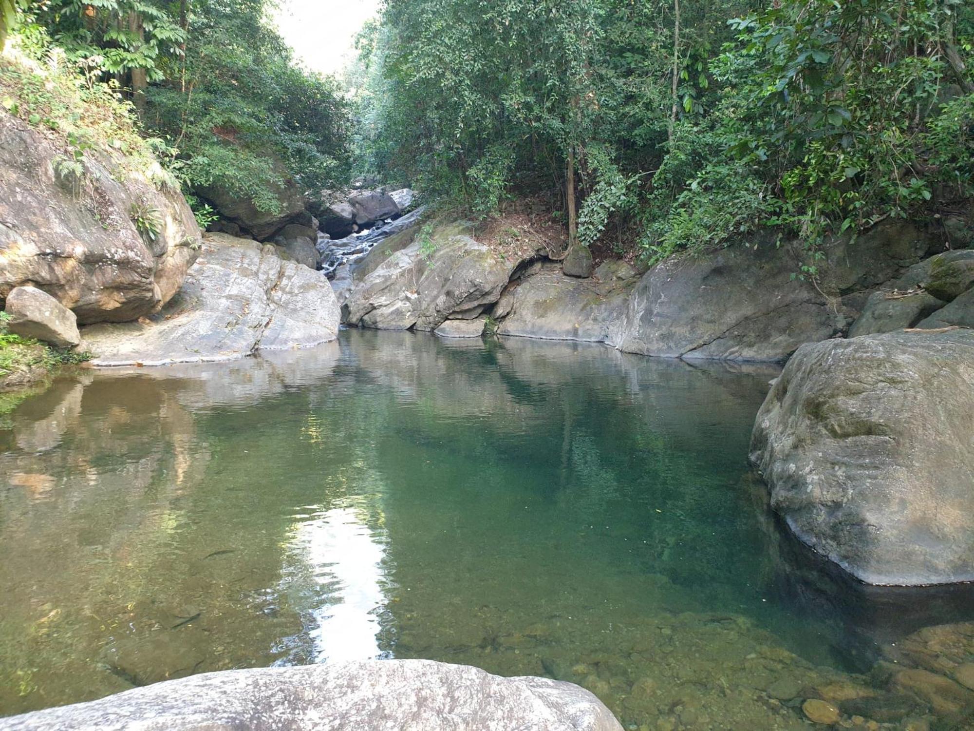 Gallene Gala Nature Resort Kitulgala Kültér fotó