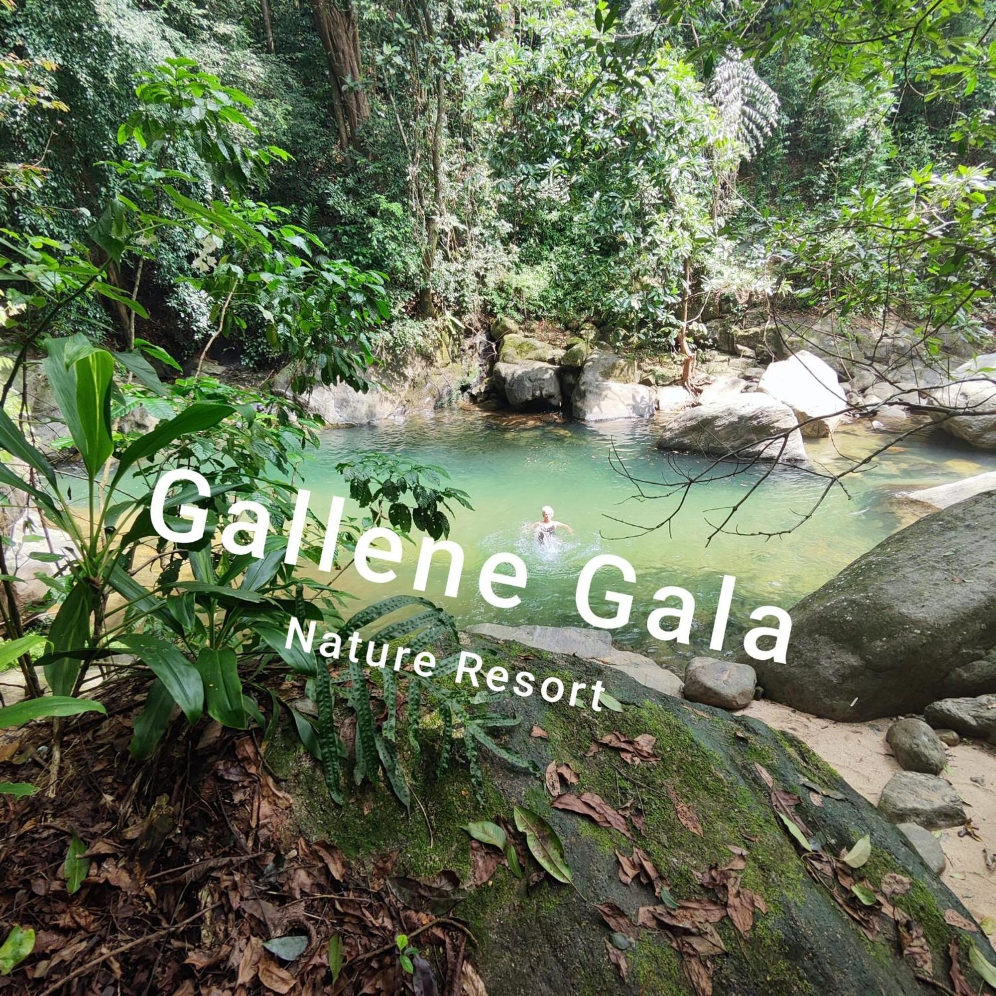 Gallene Gala Nature Resort Kitulgala Kültér fotó